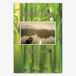 Brief van Paulus aan de Romeinen; Ger de Koning; ISBN 9789080886773